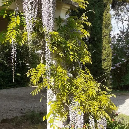 Pavillon De Diane, Le Malesherbois *